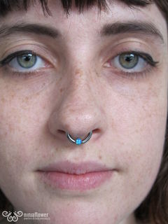 12 gauge septum