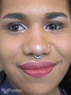 12 gauge septum