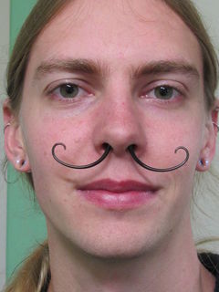 12 gauge septum