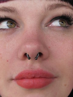 12 gauge septum