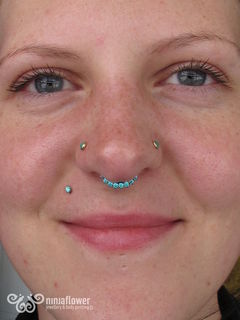 12 gauge septum
