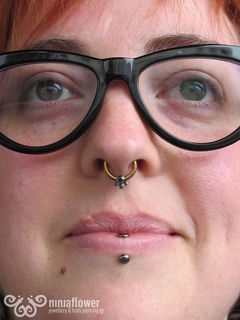 12 gauge septum