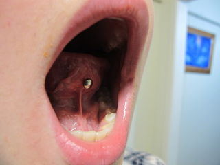 12gauge tongue