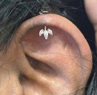 16gauge vertical helix